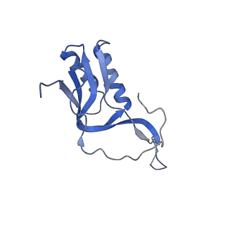 10458_6tc3_L161_v1-2
Cryo-EM structure of an Escherichia coli ribosome-SpeFL complex stalled in response to L-ornithine (Replicate 1)