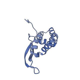 10458_6tc3_L171_v1-2
Cryo-EM structure of an Escherichia coli ribosome-SpeFL complex stalled in response to L-ornithine (Replicate 1)