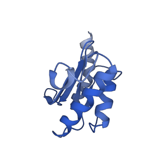 10458_6tc3_L181_v1-2
Cryo-EM structure of an Escherichia coli ribosome-SpeFL complex stalled in response to L-ornithine (Replicate 1)