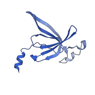 10458_6tc3_L191_v1-2
Cryo-EM structure of an Escherichia coli ribosome-SpeFL complex stalled in response to L-ornithine (Replicate 1)