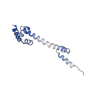 10458_6tc3_L201_v1-2
Cryo-EM structure of an Escherichia coli ribosome-SpeFL complex stalled in response to L-ornithine (Replicate 1)