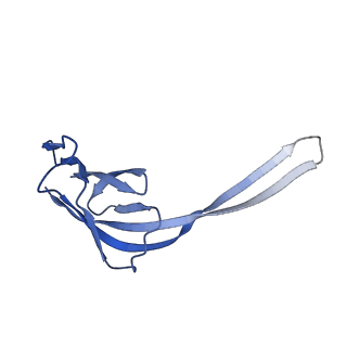 10458_6tc3_L211_v1-2
Cryo-EM structure of an Escherichia coli ribosome-SpeFL complex stalled in response to L-ornithine (Replicate 1)