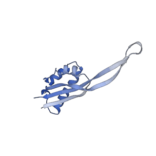 10458_6tc3_L221_v1-2
Cryo-EM structure of an Escherichia coli ribosome-SpeFL complex stalled in response to L-ornithine (Replicate 1)