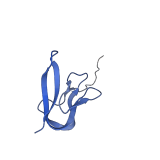 10458_6tc3_L271_v1-2
Cryo-EM structure of an Escherichia coli ribosome-SpeFL complex stalled in response to L-ornithine (Replicate 1)