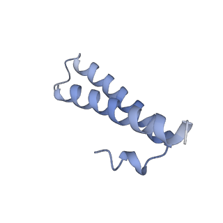 10458_6tc3_L291_v1-2
Cryo-EM structure of an Escherichia coli ribosome-SpeFL complex stalled in response to L-ornithine (Replicate 1)