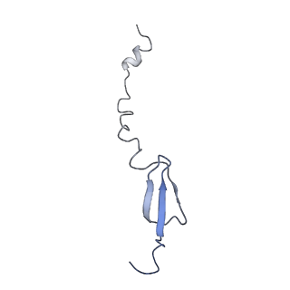 10458_6tc3_L311_v1-2
Cryo-EM structure of an Escherichia coli ribosome-SpeFL complex stalled in response to L-ornithine (Replicate 1)