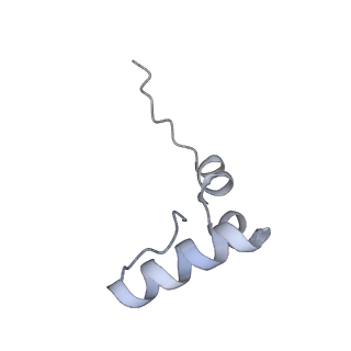 10458_6tc3_L341_v1-2
Cryo-EM structure of an Escherichia coli ribosome-SpeFL complex stalled in response to L-ornithine (Replicate 1)