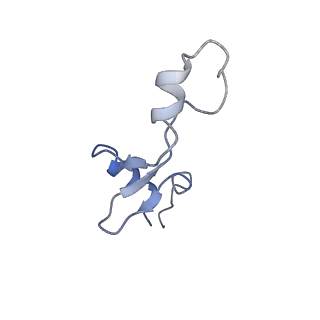 10458_6tc3_L351_v1-2
Cryo-EM structure of an Escherichia coli ribosome-SpeFL complex stalled in response to L-ornithine (Replicate 1)