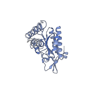 10458_6tc3_S021_v1-2
Cryo-EM structure of an Escherichia coli ribosome-SpeFL complex stalled in response to L-ornithine (Replicate 1)