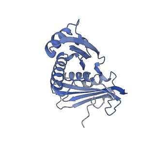 10458_6tc3_S031_v1-2
Cryo-EM structure of an Escherichia coli ribosome-SpeFL complex stalled in response to L-ornithine (Replicate 1)