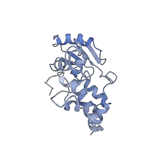 10458_6tc3_S041_v1-2
Cryo-EM structure of an Escherichia coli ribosome-SpeFL complex stalled in response to L-ornithine (Replicate 1)