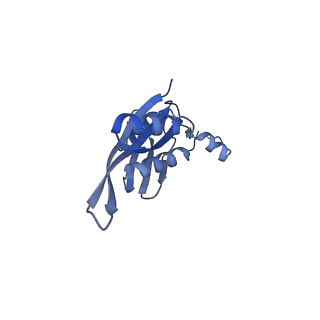 10458_6tc3_S051_v1-2
Cryo-EM structure of an Escherichia coli ribosome-SpeFL complex stalled in response to L-ornithine (Replicate 1)