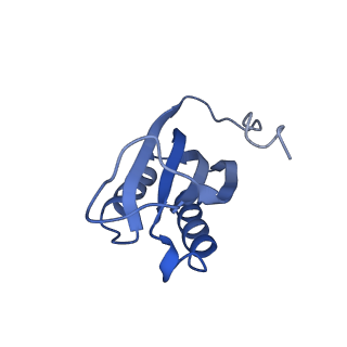 10458_6tc3_S061_v1-2
Cryo-EM structure of an Escherichia coli ribosome-SpeFL complex stalled in response to L-ornithine (Replicate 1)