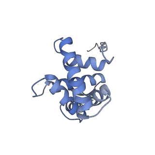 10458_6tc3_S071_v1-2
Cryo-EM structure of an Escherichia coli ribosome-SpeFL complex stalled in response to L-ornithine (Replicate 1)
