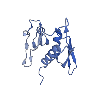 10458_6tc3_S081_v1-2
Cryo-EM structure of an Escherichia coli ribosome-SpeFL complex stalled in response to L-ornithine (Replicate 1)