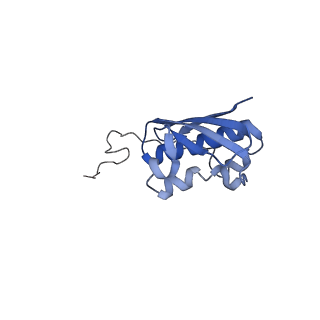 10458_6tc3_S091_v1-2
Cryo-EM structure of an Escherichia coli ribosome-SpeFL complex stalled in response to L-ornithine (Replicate 1)