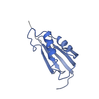 10458_6tc3_S111_v1-2
Cryo-EM structure of an Escherichia coli ribosome-SpeFL complex stalled in response to L-ornithine (Replicate 1)