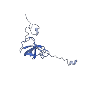 10458_6tc3_S121_v1-2
Cryo-EM structure of an Escherichia coli ribosome-SpeFL complex stalled in response to L-ornithine (Replicate 1)