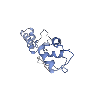10458_6tc3_S131_v1-2
Cryo-EM structure of an Escherichia coli ribosome-SpeFL complex stalled in response to L-ornithine (Replicate 1)