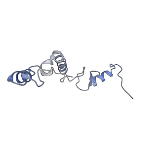 10458_6tc3_S141_v1-2
Cryo-EM structure of an Escherichia coli ribosome-SpeFL complex stalled in response to L-ornithine (Replicate 1)