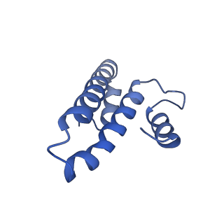10458_6tc3_S151_v1-2
Cryo-EM structure of an Escherichia coli ribosome-SpeFL complex stalled in response to L-ornithine (Replicate 1)