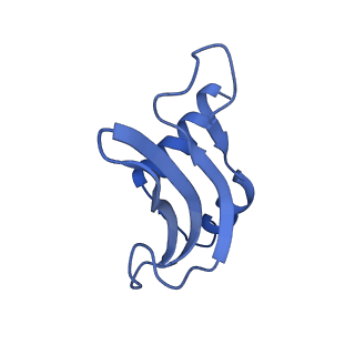 10458_6tc3_S161_v1-2
Cryo-EM structure of an Escherichia coli ribosome-SpeFL complex stalled in response to L-ornithine (Replicate 1)