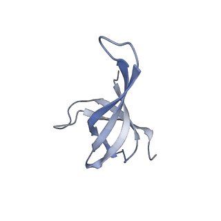 10458_6tc3_S171_v1-2
Cryo-EM structure of an Escherichia coli ribosome-SpeFL complex stalled in response to L-ornithine (Replicate 1)