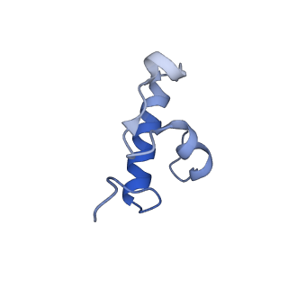 10458_6tc3_S181_v1-2
Cryo-EM structure of an Escherichia coli ribosome-SpeFL complex stalled in response to L-ornithine (Replicate 1)