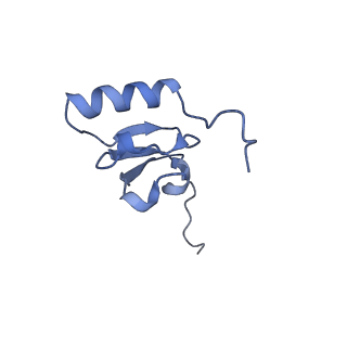 10458_6tc3_S191_v1-2
Cryo-EM structure of an Escherichia coli ribosome-SpeFL complex stalled in response to L-ornithine (Replicate 1)