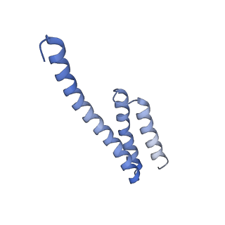 10458_6tc3_S201_v1-2
Cryo-EM structure of an Escherichia coli ribosome-SpeFL complex stalled in response to L-ornithine (Replicate 1)