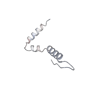 10458_6tc3_S211_v1-2
Cryo-EM structure of an Escherichia coli ribosome-SpeFL complex stalled in response to L-ornithine (Replicate 1)