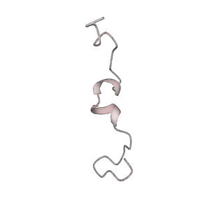 10458_6tc3_SPE1_v1-2
Cryo-EM structure of an Escherichia coli ribosome-SpeFL complex stalled in response to L-ornithine (Replicate 1)