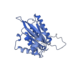 10462_6tcz_A_v1-2
Leishmania tarentolae proteasome 20S subunit complexed with LXE408