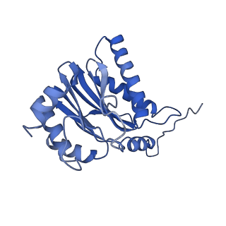 10462_6tcz_B_v1-2
Leishmania tarentolae proteasome 20S subunit complexed with LXE408