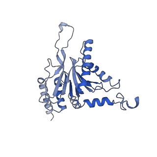 10462_6tcz_C_v1-2
Leishmania tarentolae proteasome 20S subunit complexed with LXE408