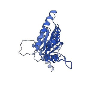10462_6tcz_D_v1-2
Leishmania tarentolae proteasome 20S subunit complexed with LXE408
