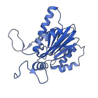 10462_6tcz_E_v1-2
Leishmania tarentolae proteasome 20S subunit complexed with LXE408