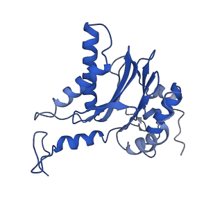 10462_6tcz_F_v1-2
Leishmania tarentolae proteasome 20S subunit complexed with LXE408