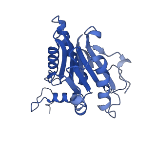 10462_6tcz_G_v1-2
Leishmania tarentolae proteasome 20S subunit complexed with LXE408