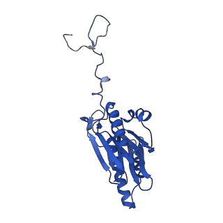10462_6tcz_H_v1-2
Leishmania tarentolae proteasome 20S subunit complexed with LXE408