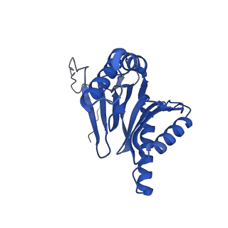 10462_6tcz_I_v1-2
Leishmania tarentolae proteasome 20S subunit complexed with LXE408