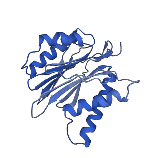 10462_6tcz_J_v1-2
Leishmania tarentolae proteasome 20S subunit complexed with LXE408