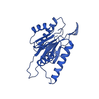 10462_6tcz_K_v1-2
Leishmania tarentolae proteasome 20S subunit complexed with LXE408