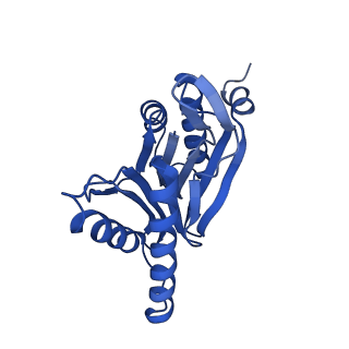 10462_6tcz_L_v1-2
Leishmania tarentolae proteasome 20S subunit complexed with LXE408