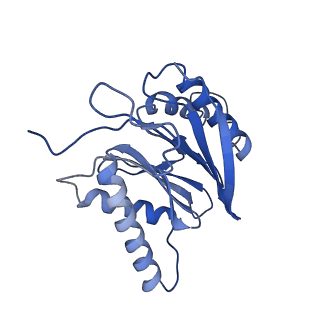 10462_6tcz_M_v1-2
Leishmania tarentolae proteasome 20S subunit complexed with LXE408