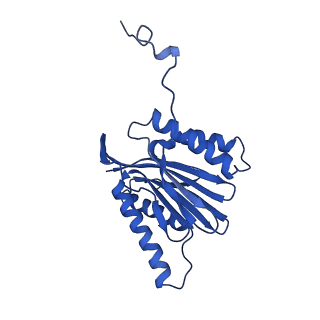 10462_6tcz_N_v1-2
Leishmania tarentolae proteasome 20S subunit complexed with LXE408