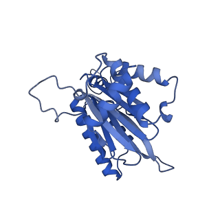 10462_6tcz_a_v1-2
Leishmania tarentolae proteasome 20S subunit complexed with LXE408