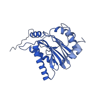 10462_6tcz_b_v1-2
Leishmania tarentolae proteasome 20S subunit complexed with LXE408