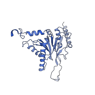 10462_6tcz_c_v1-2
Leishmania tarentolae proteasome 20S subunit complexed with LXE408