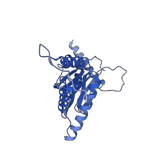 10462_6tcz_d_v1-2
Leishmania tarentolae proteasome 20S subunit complexed with LXE408